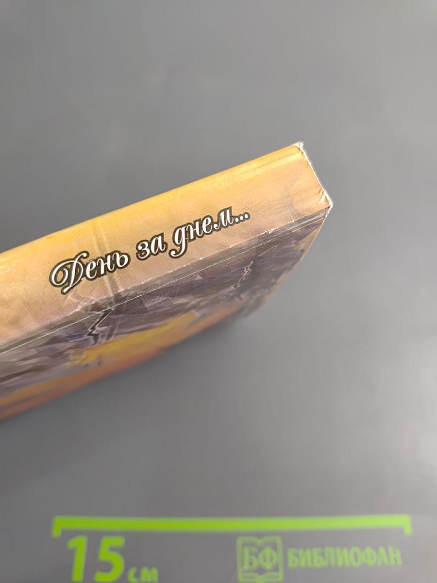 День за днём...