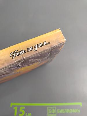 День за днём...