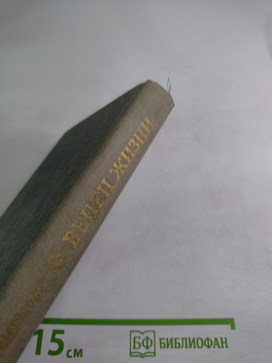 Венец жизни