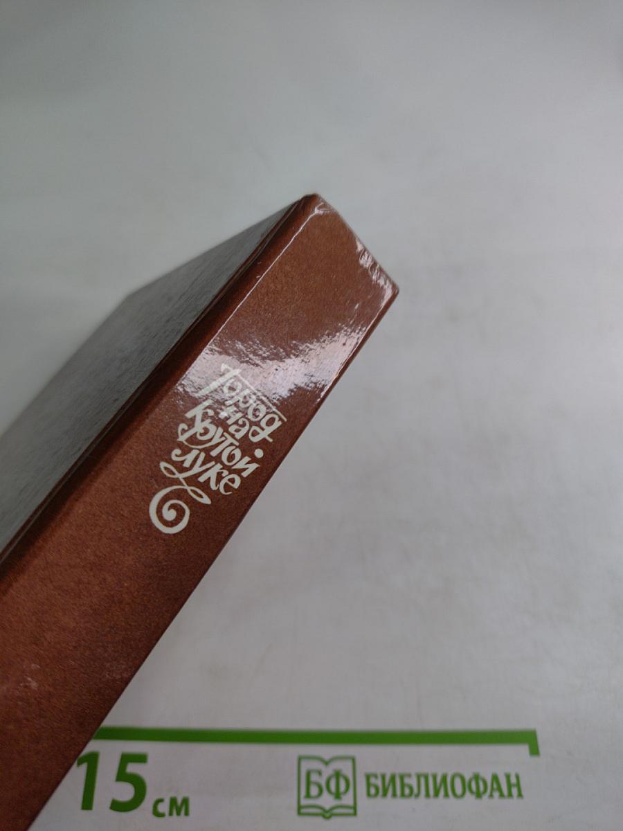 Город на крутой луке