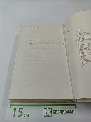 Страшный суд. Эпопея в двух романах