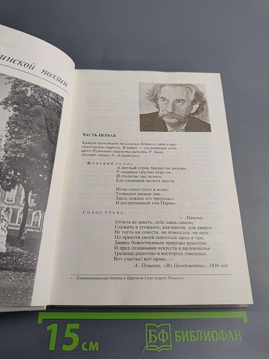 Версии. Телевизионные сценарии