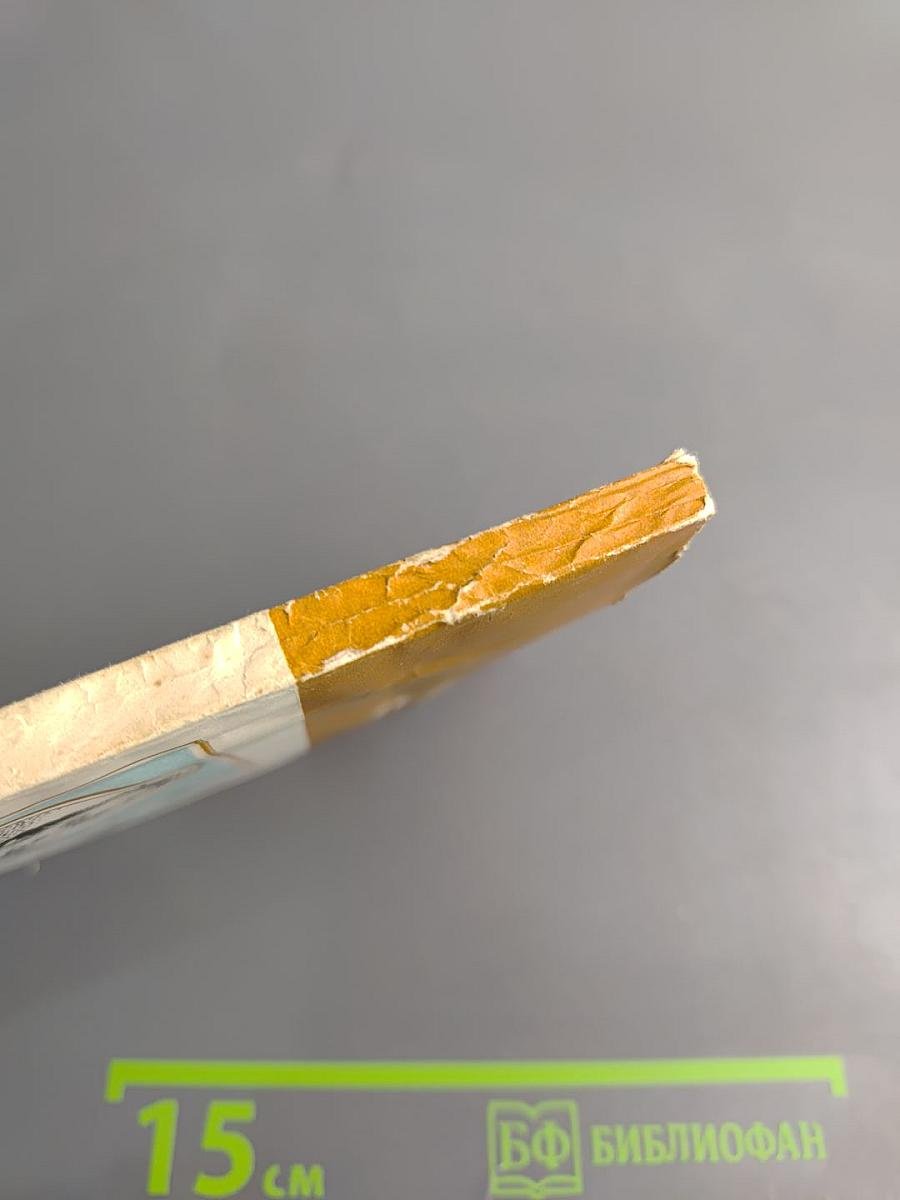 Адмирал Нельсон