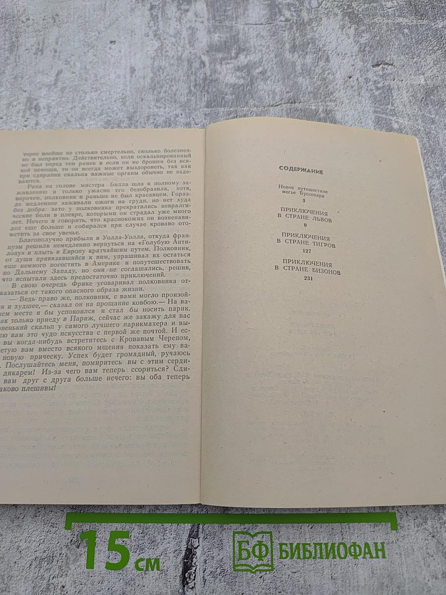 Приключения в стране львов