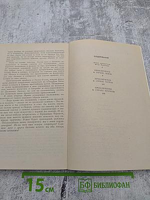 Приключения в стране львов