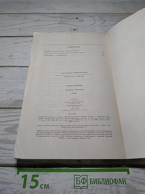 Большие надежды