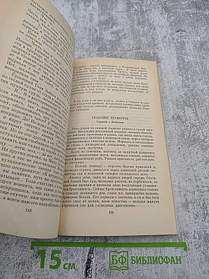 Покушение на миражи. Чистые воды Китежа