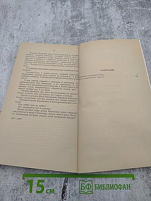 Покушение на миражи. Чистые воды Китежа