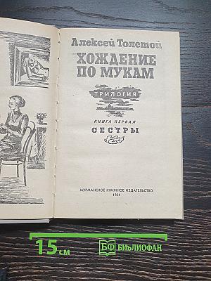 Хождение по мукам