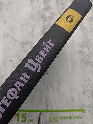 Собрание сочинений в семи томах. Том шестой