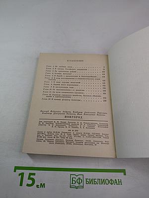 НОВГОРОД. Краткий очерк истории города
