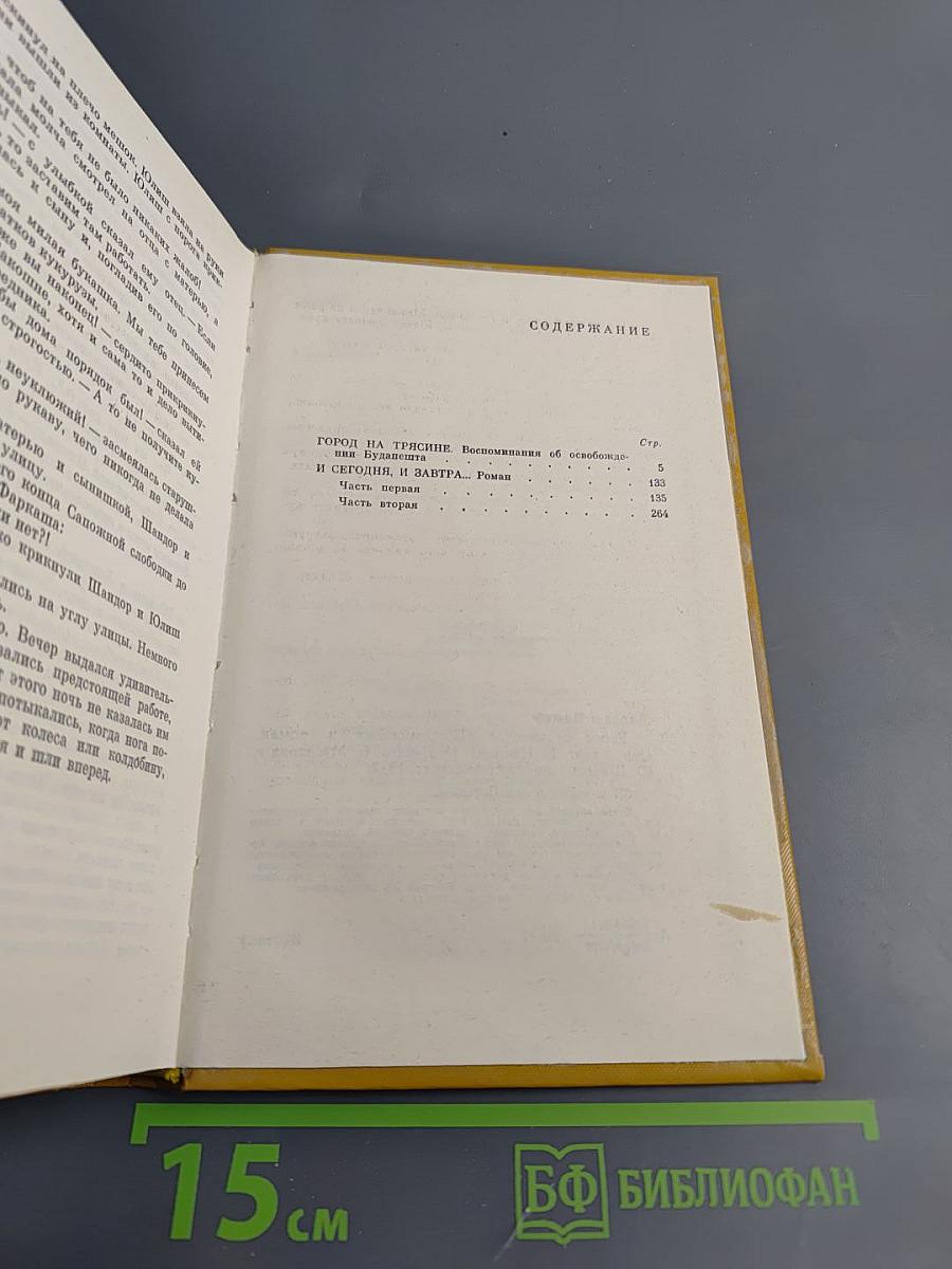 Город на трясине