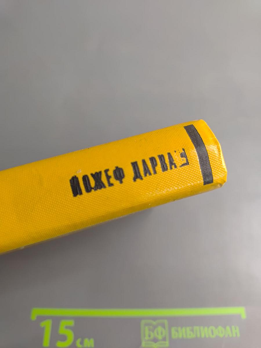 Город на трясине