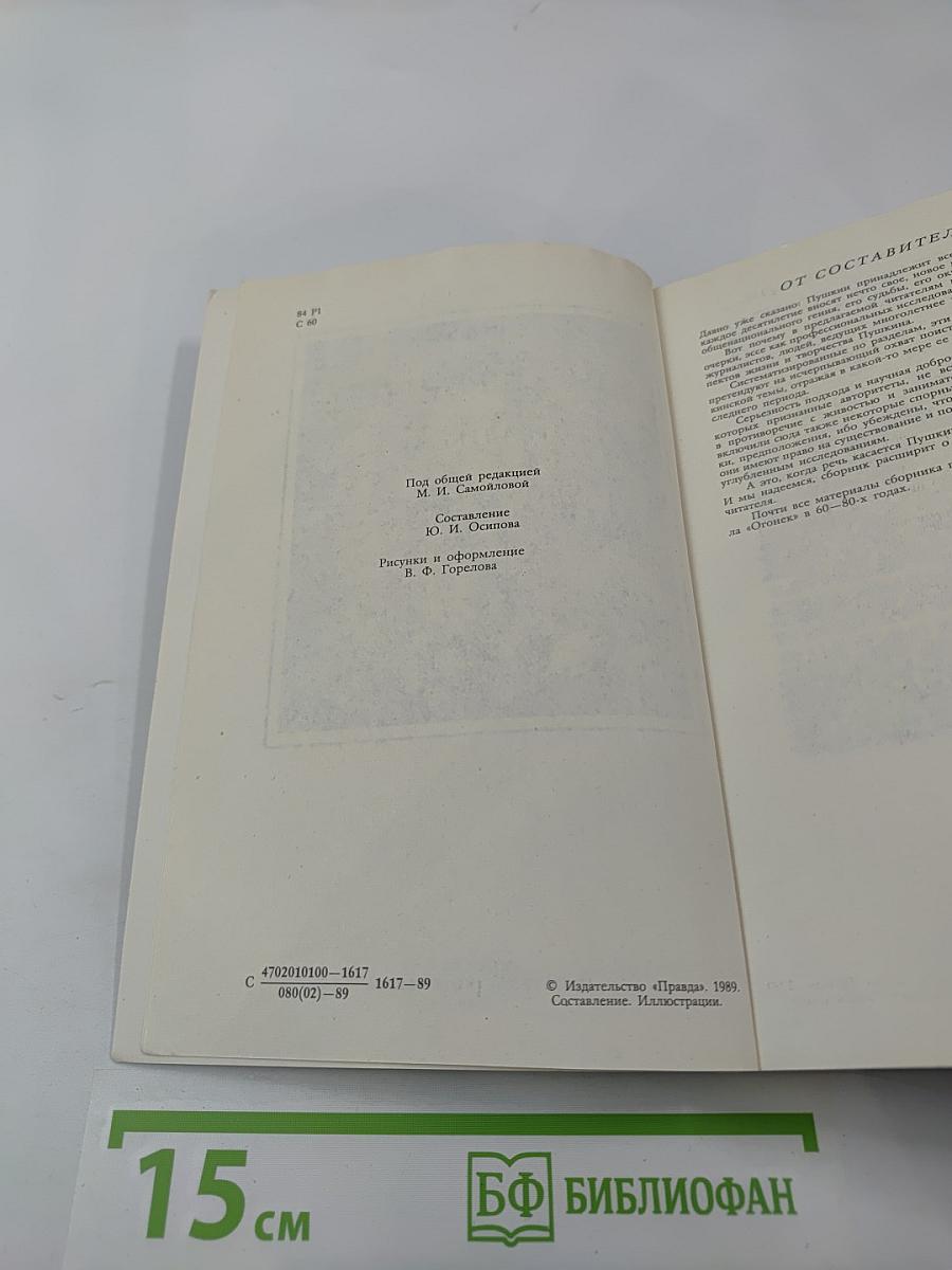 Солнце нашей поэзии