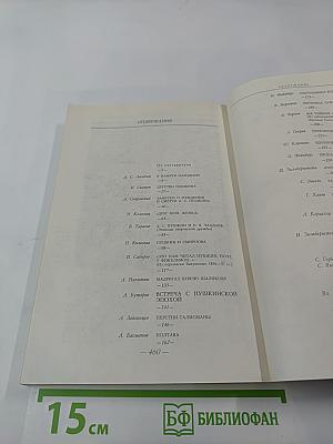 Солнце нашей поэзии