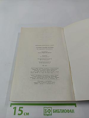 Солнце нашей поэзии