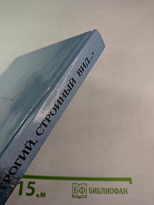 «Строгий, стройный вид…»