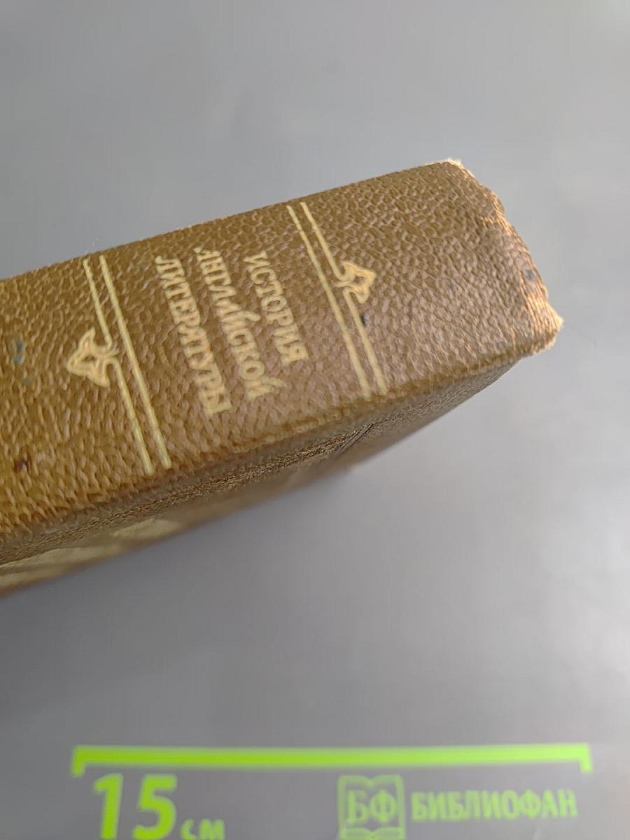 История английской литературы. Том II, выпуск второй