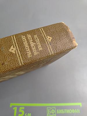 История английской литературы. Том II, выпуск второй