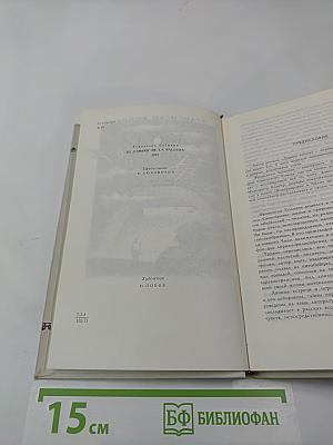 Дорога китов