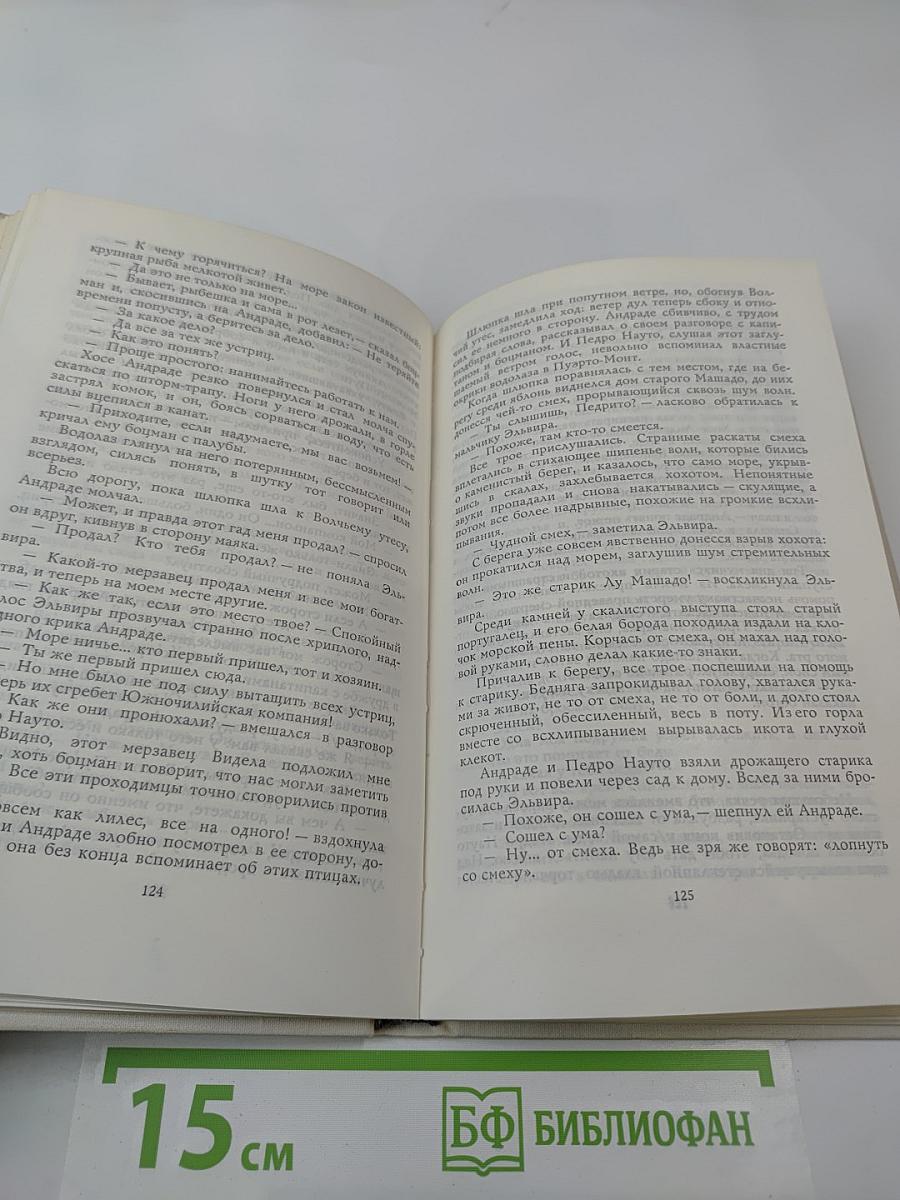 Дорога китов