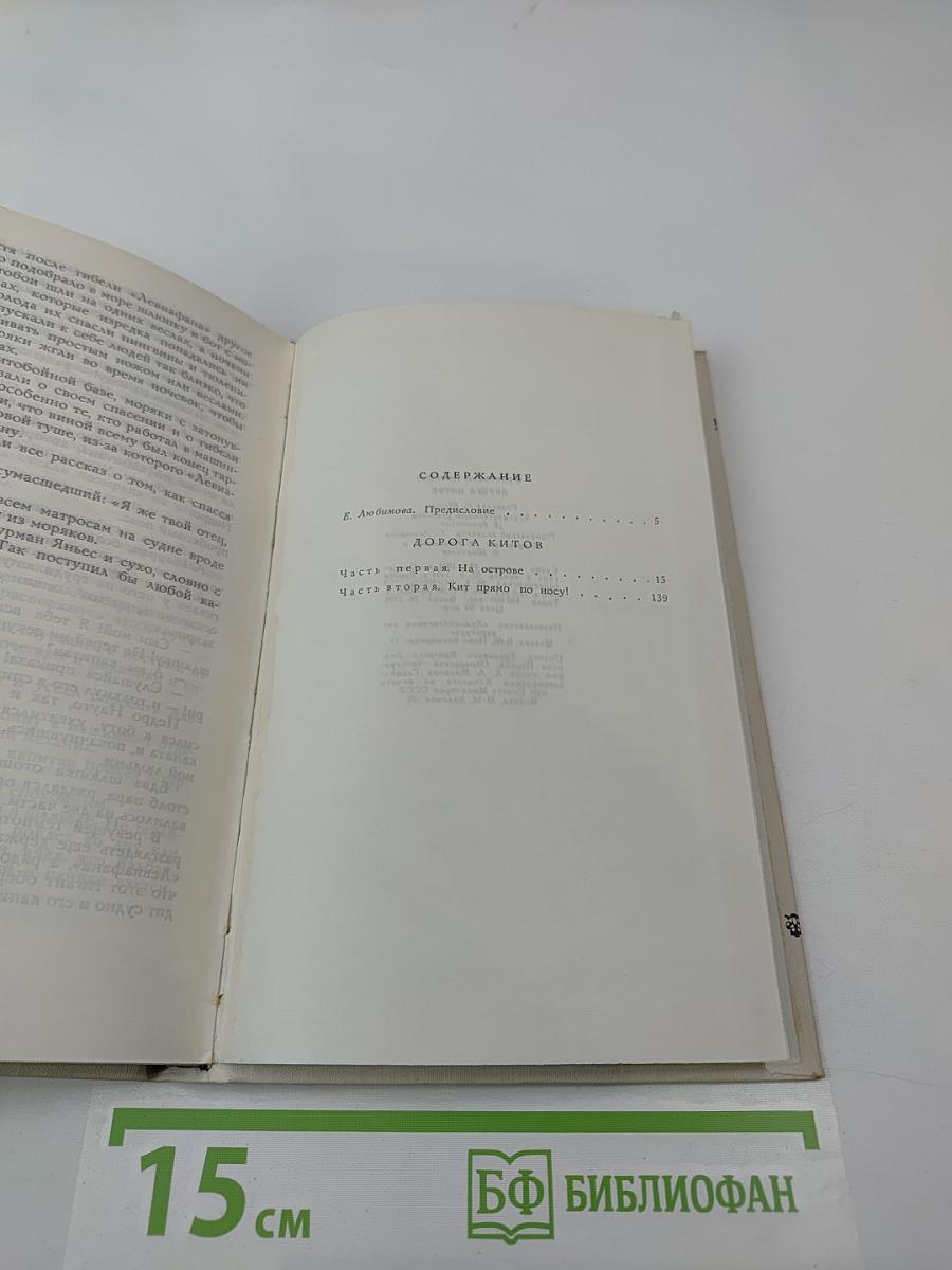 Дорога китов