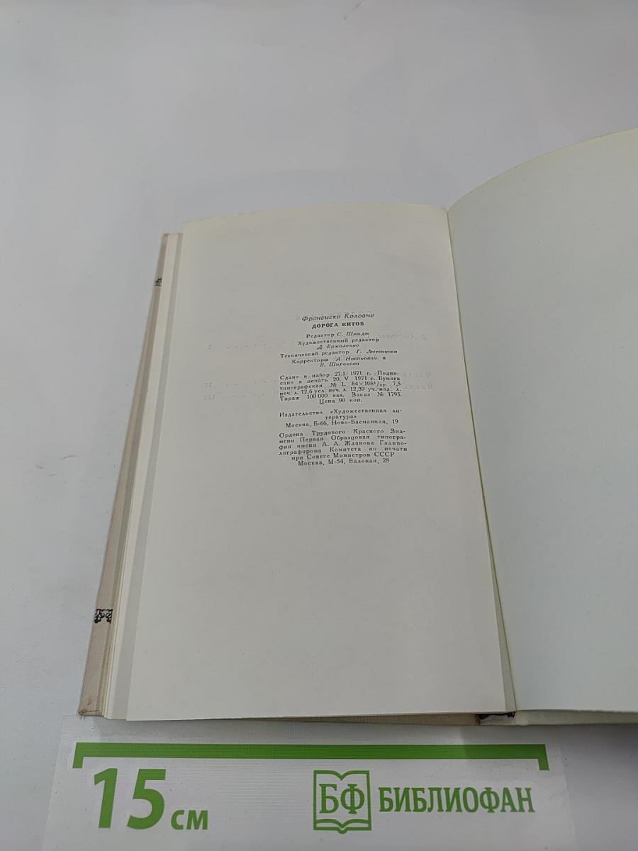 Дорога китов