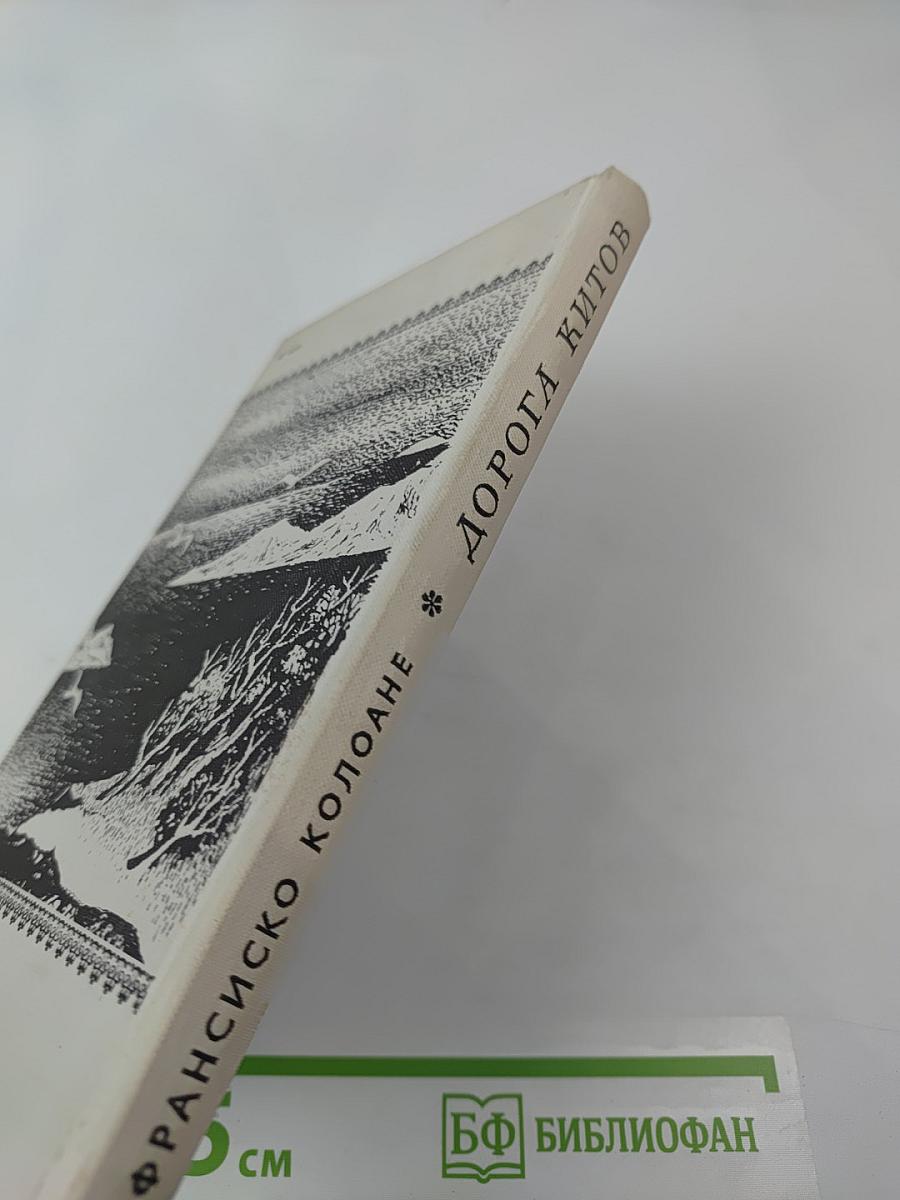 Дорога китов