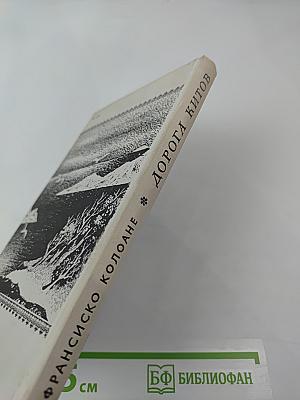 Дорога китов