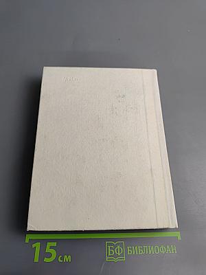 Суворов в Петербурге