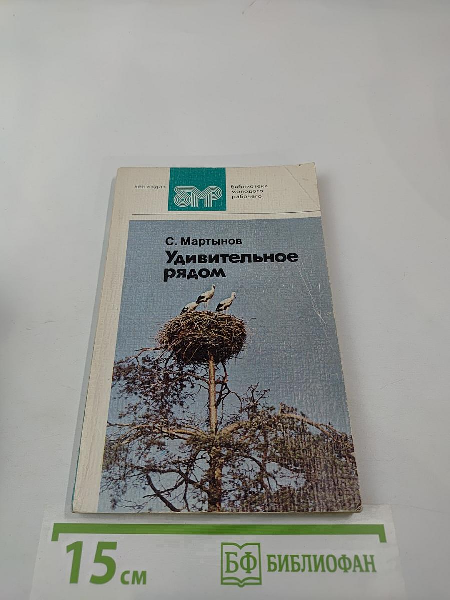 Удивительное рядом