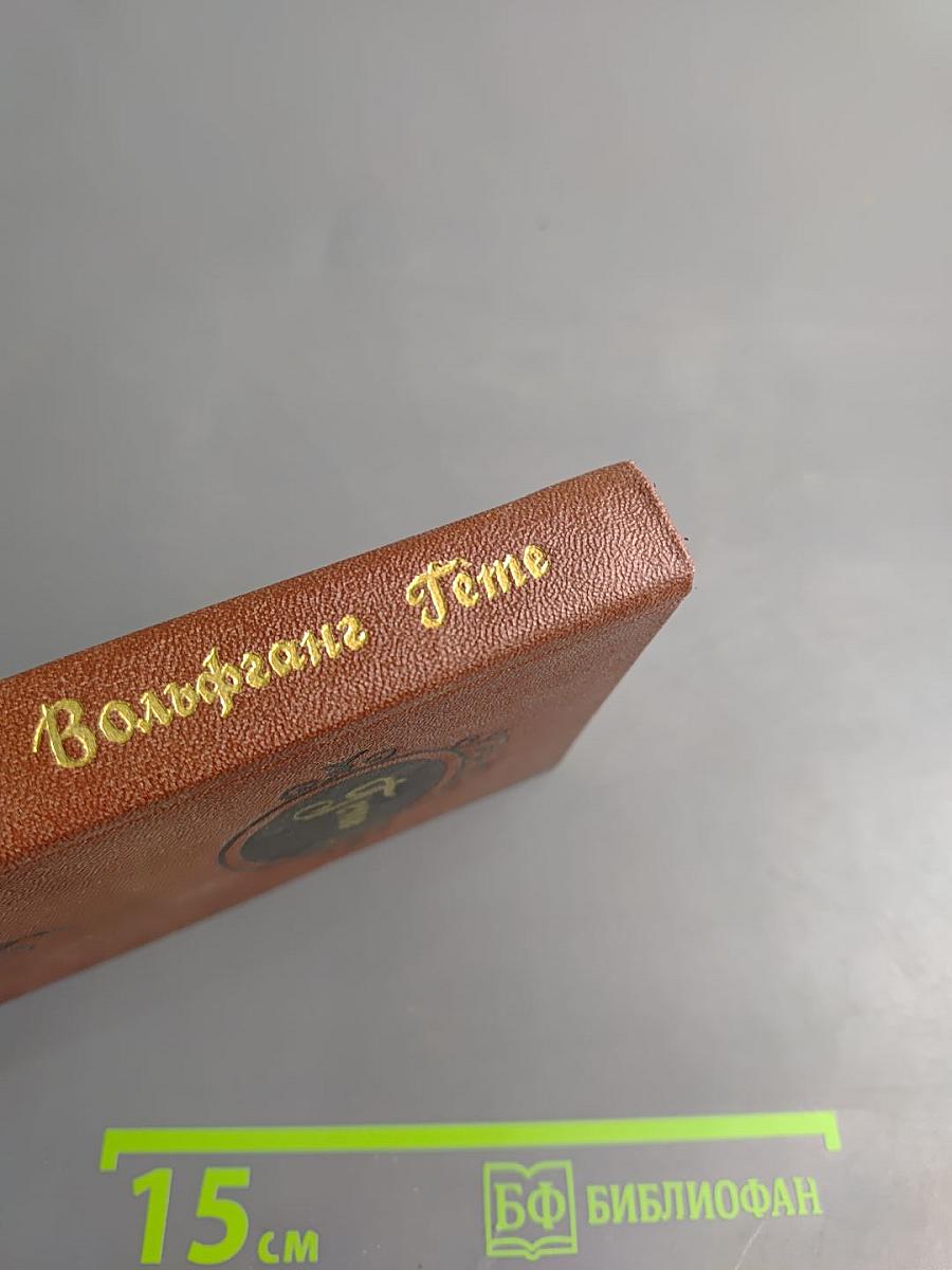 Избранные стихотворения и проза