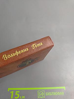 Избранные стихотворения и проза