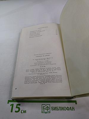 Городок на Дреме