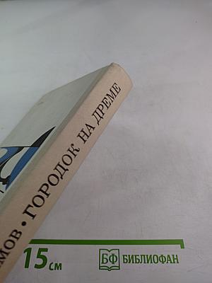 Городок на Дреме