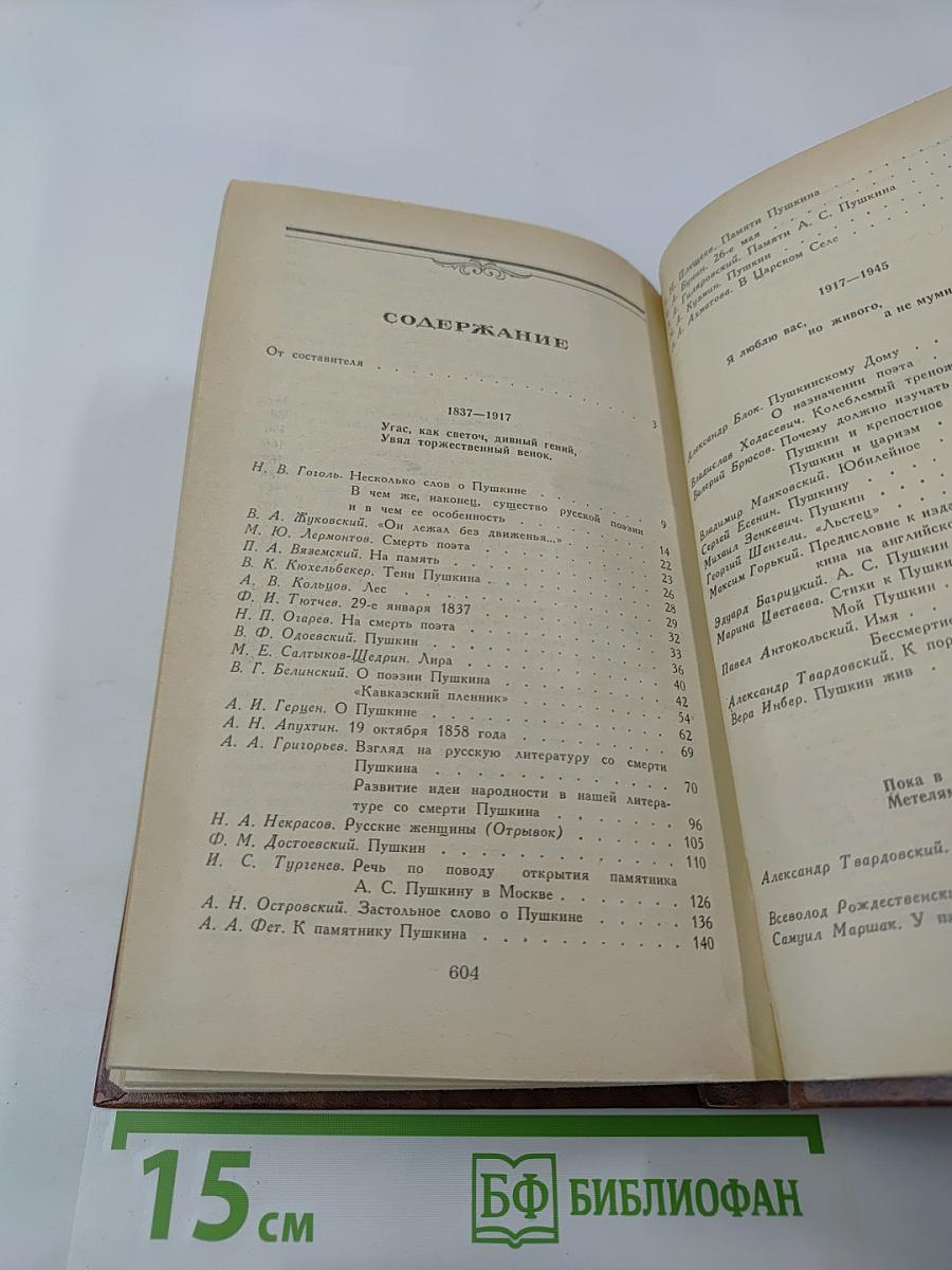 Светлое имя Пушкин