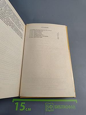 Аракчеев. Исторический роман XIX столетия