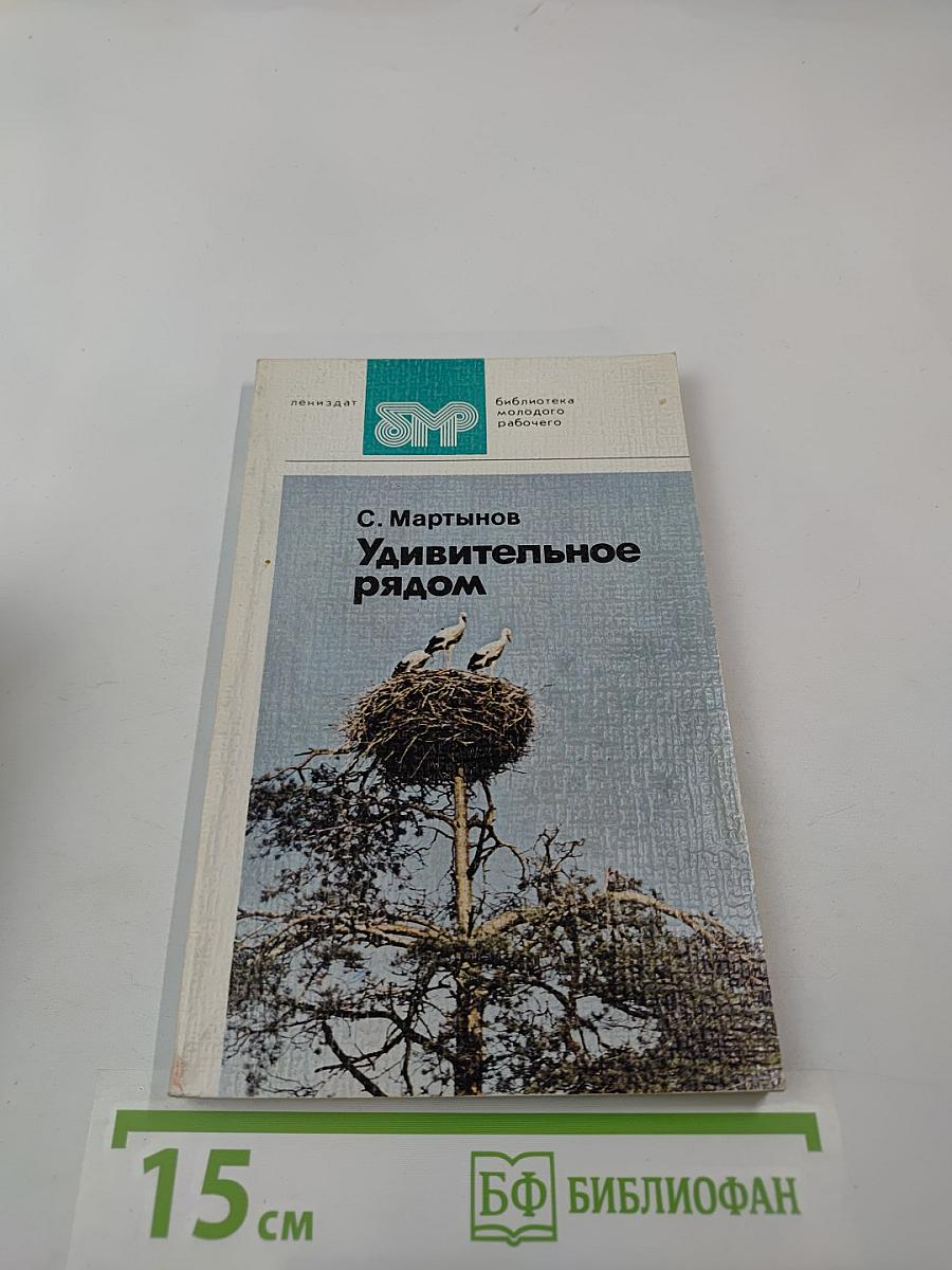 Удивительное рядом