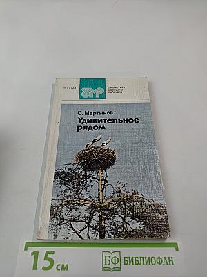 Удивительное рядом