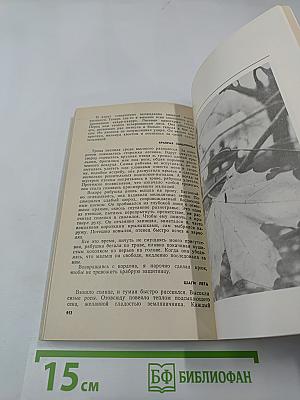 Удивительное рядом