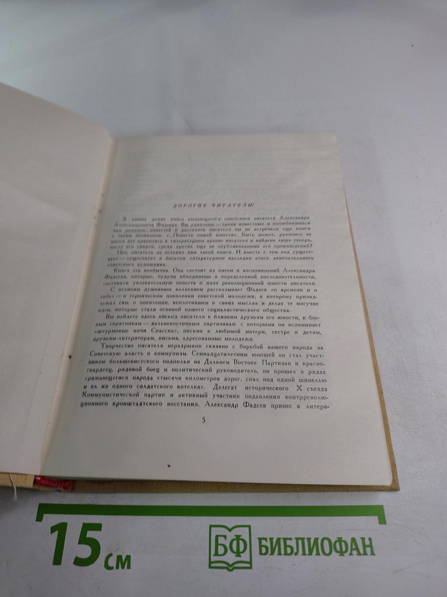 ...Повесть нашей юности