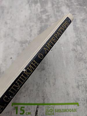 О литературе. Избранное