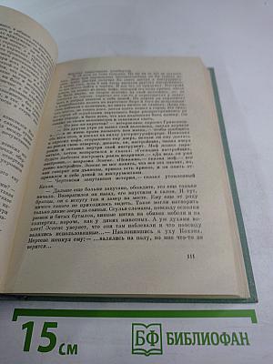 Симон Вестдейк