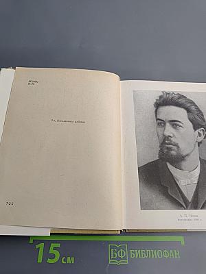 Из жизни А.П. Чехова. Дом в Кудрине