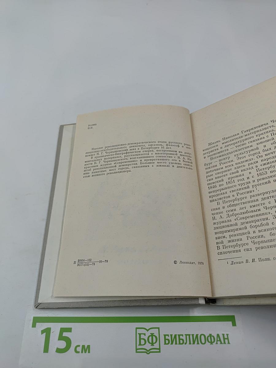 Чернышевский в Петербурге