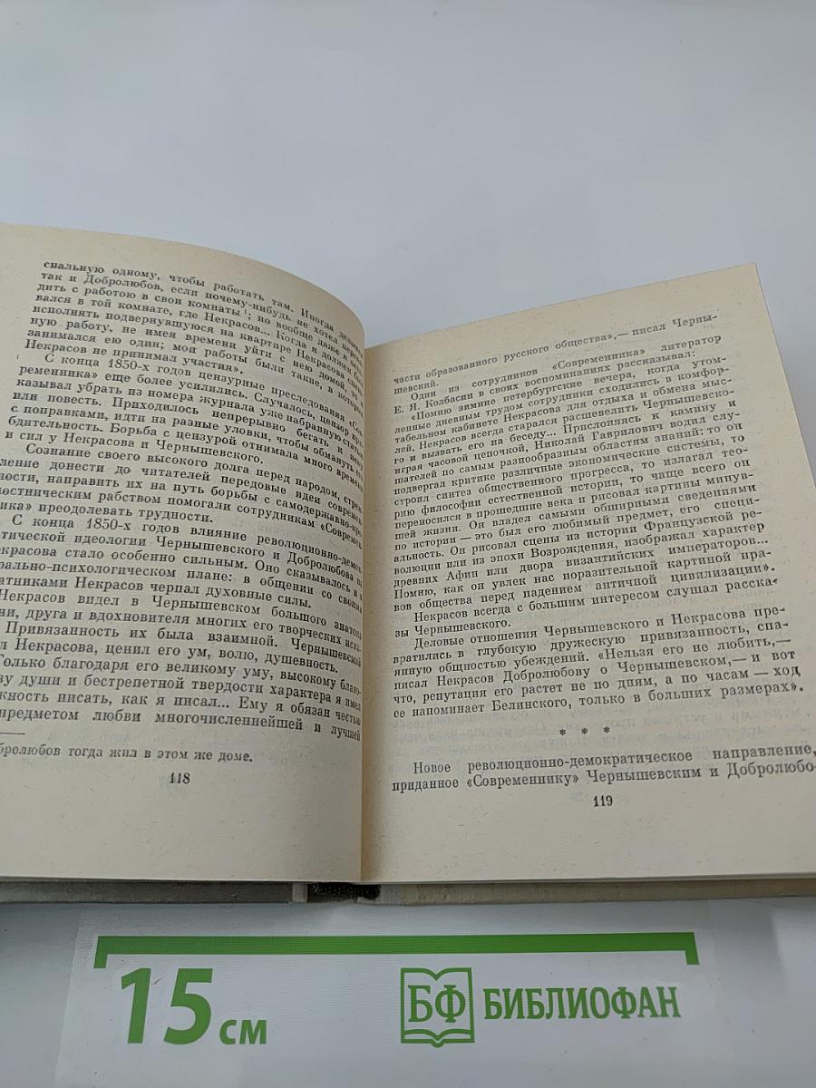 Чернышевский в Петербурге