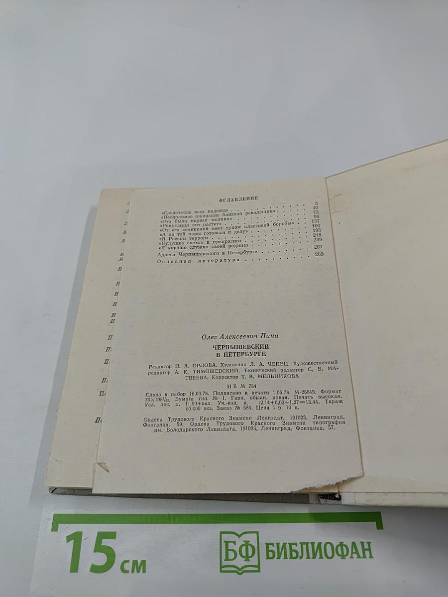 Чернышевский в Петербурге