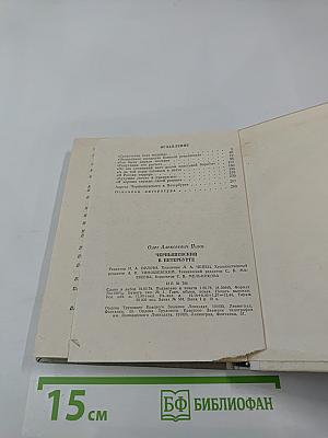 Чернышевский в Петербурге