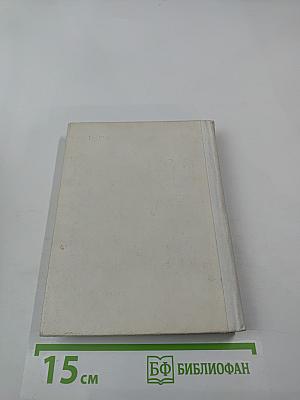 Чернышевский в Петербурге