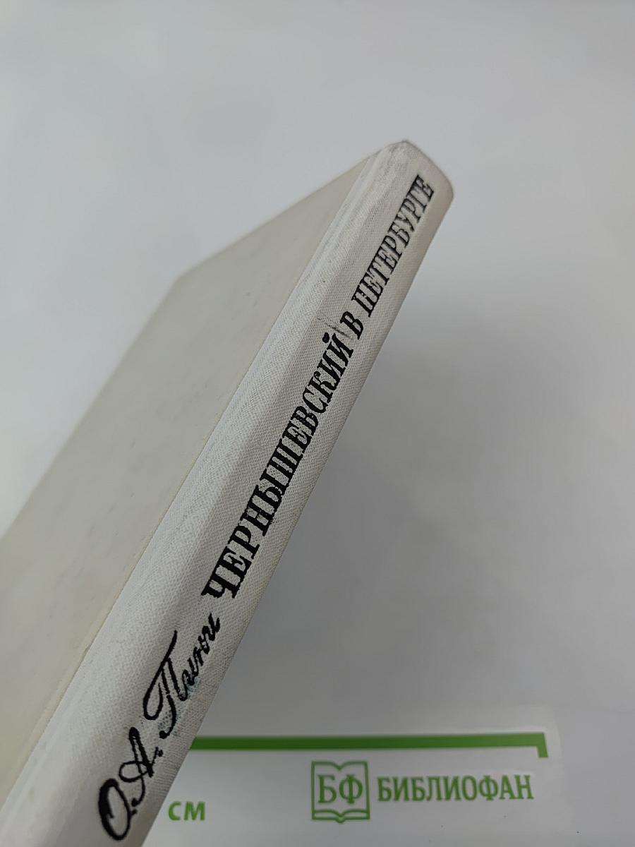 Чернышевский в Петербурге